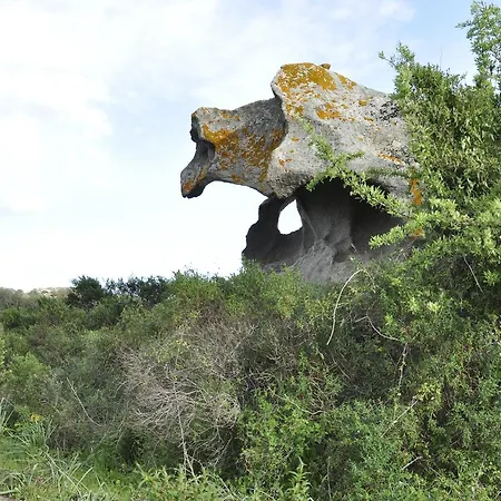 Dori D'oro Hotell