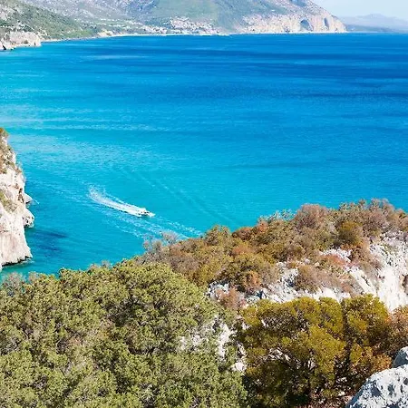 Dori D'oro 3*
