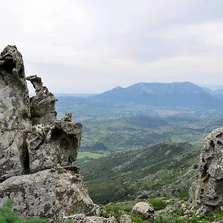 Dori D'oro 3* Orosei
