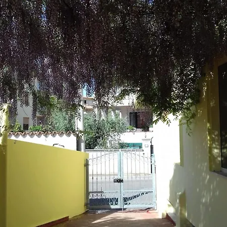 Dori D'oro 오로세