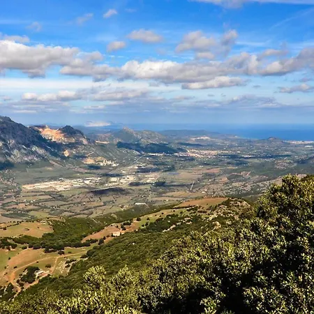 Dori D'oro 3*